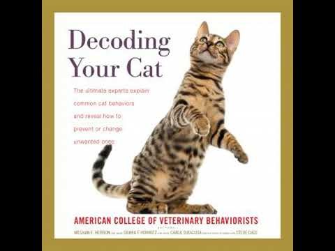 Decoding Your Cat: The Ultimate Experts Explain Common Cat Behaviors and Reveal How to Prevent or