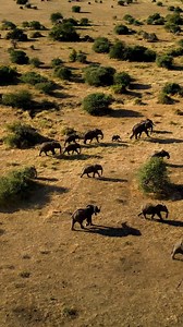 Thirty years of EcoTraining! What an incredible journey! #30years #EcoTraining #AnUnforgettableJourney | EcoTraining