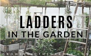 How to Use Ladders in the Garden