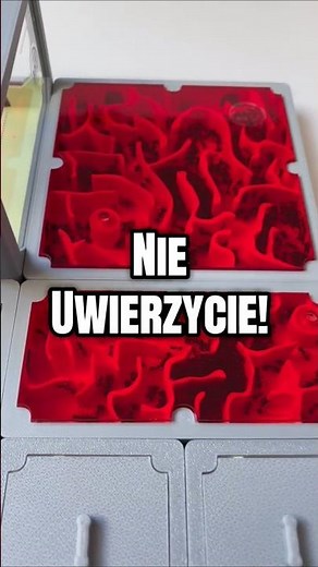 Nie uwierzycie, jak szybko może rosnąć kolonia mrówek! #antcenter #ants #formikarium #hodowlamrowek