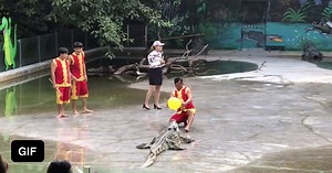 This gets better every time - Funny