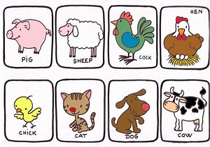 Los nombres de animales en inglés y su pronunciación