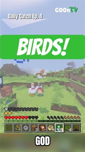Birds! #Minecraft