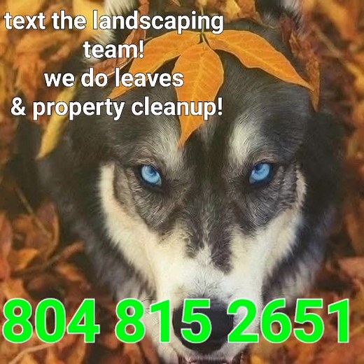 We do leaves!!! 😁 | Problem solvers llc.