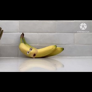 Directed by Parker Kelly | Life with Greyson Parker