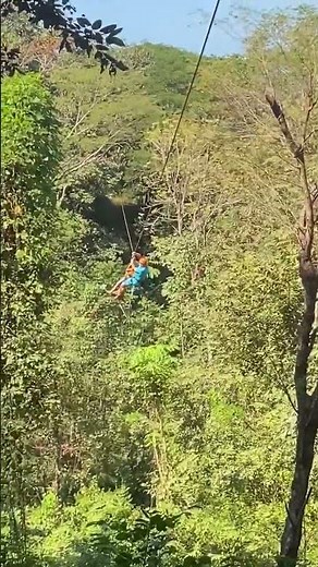 Everyone loves the tour and the little ones are no exception Book now the zipline tour🤙🏽📧 inf 1