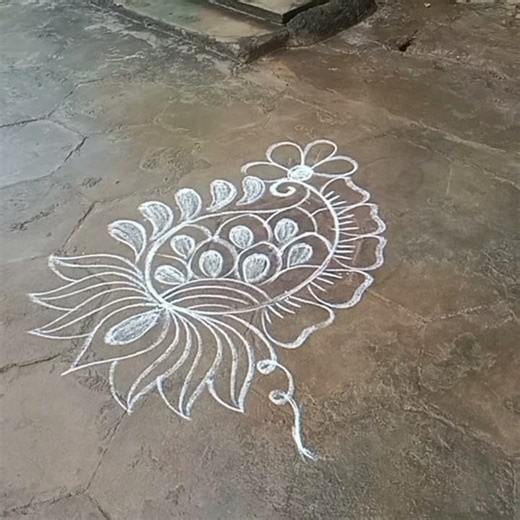 easy mango pattern rangoli