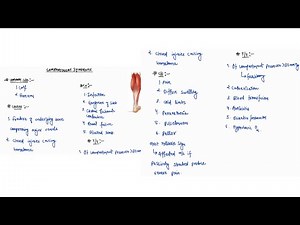 COMPARTMENT SYNDROME NOTES | GENERAL SURGERY | ONE PAGE NOTES | 4TH PROFF | MBBS