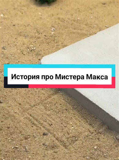 История про Мистера Макса — короткая смешная история