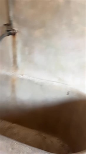 Paola Golia on Reels