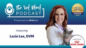 Beyond insulin: What’s new in feline diabetes | dvm360