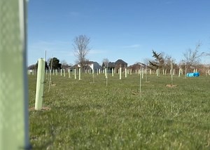 Lambton College on Reels