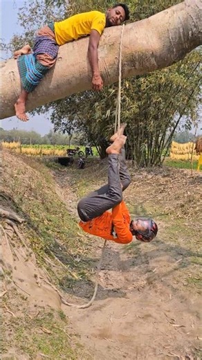 The boy was sleeping on the branch of a big tree.