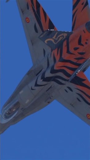 McDonnell Douglas F/A-18 Hornet - Demonstration Spanish Air Force #carrierlandinghd #flightsimulator