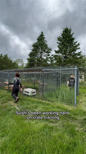 190K views · 5.8K reactions | The day is here— Sushi’s moving day!...