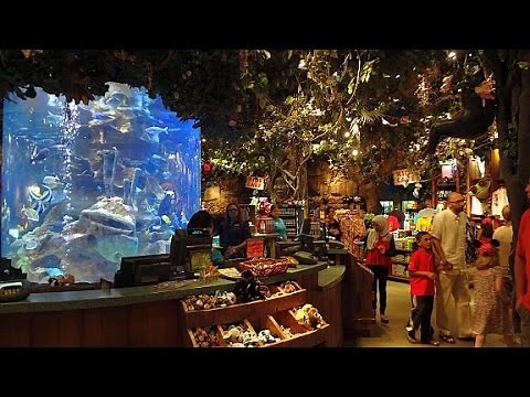 Rainforest Cafe in 1080p HD-Downtown Disney~Disney World