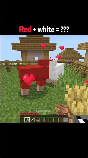 Minecraft Sheep Color Mixing Moments 🐑