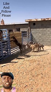 4.2K reactions · 104 shares | Unbelievable Benefit of calculation 藍藍藍藍 #everyonehighlightsfollowers @highlight #viralvideoシ #fypシ゚ #everyone #fypシ゚viralシfypシ゚viralシalシ #followersreels | Ajah Isaiah Ukwegwu | Facebook