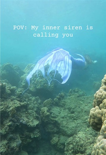 Did you know… The original Greek “Sirens” were actually bird-women, not fish-tailed mermaids. The transformation into sea dwelling creatures arose later, connecting them closer to the maritime dangers they caused. Sirens are known to represent the dangerous, alluring temptation of knowledge or desire, often described as singing about the secrets of the world. #ocean #swimming #underwater #mermaid #gopro