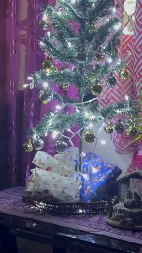 Let us celebrate Christmas not with expectation, but with intention. Let us give freely, love deeply, and remember that the greatest gifts are often those we cannot wrap: compassion, connection, and community. | Jinkie Amar