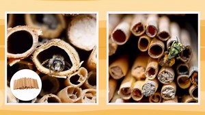 VOSAREA 100pcs Mason Bee Tubes Natural Reed Bee Tubes for Bee Houses, Refill Nesting Tubes for Pollinators