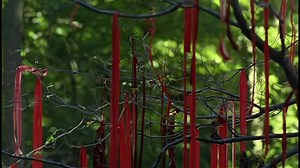 Lawn Dogs (1997).1080p.ger-eng