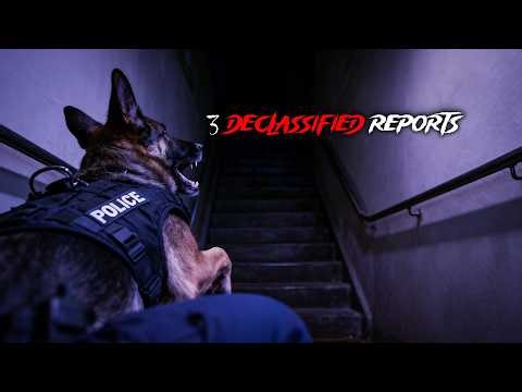 3 Declassified Reports That Still Terrify Officers I When Police Dogs REFUSE to Enter 😨🐕