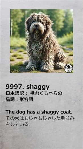 Short Files 1st 9991-10000 #英語 #英単語 #english