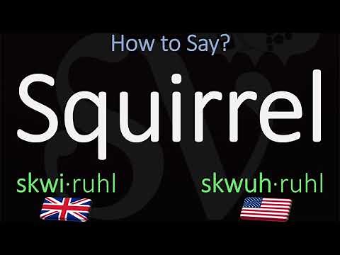 How to Pronounce Squirrel? | British Vs American Pronunciation