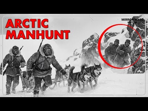 War Dogs of Greenland: The Sledge Patrol Hunting German Weather Stations (WWII)