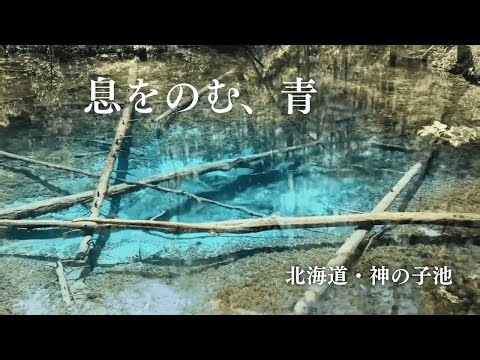 息をのむ、青 -北海道・神の子池-