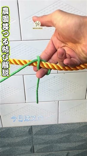 [Traditional Vine Training Knot] A traditional technique that can be tied quickly and easily unti...