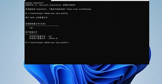电脑技巧使用一条命令查看电脑密码