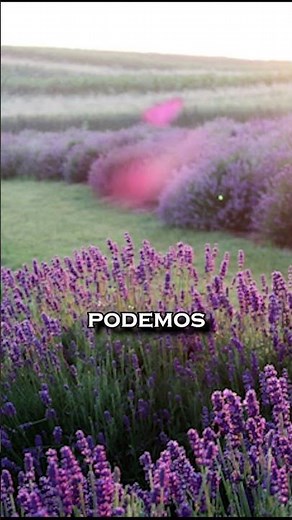 🧠💡 La Neuro divergencia: Entendiendo el Cerebro Diferente 💡🧠