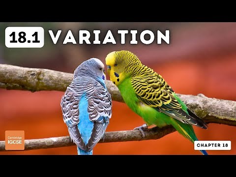 IGCSE Biology - Variation (18.1)