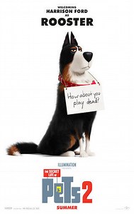 Movie - Cartoon - The Secret Life of Pets 2 - 2019 Watch Online، Video، Trailer، photos، Reviews، Showtimes