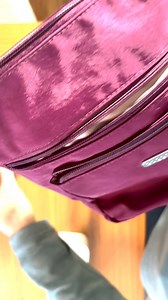 Watch Baggallini Pocket Crossbody Travel Bag Review on Amazon Live