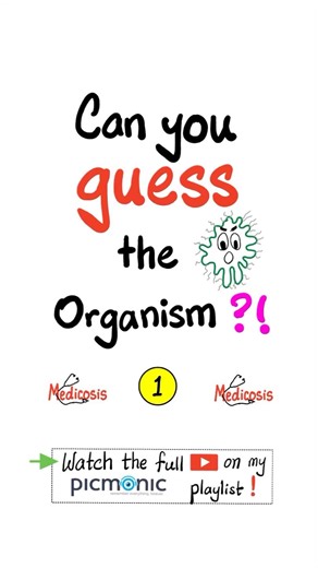 Can you Guess the Organism (#1) - Bacteria, Gram-positive, Capsule,Toxin, Fever,Woolsorter -Picmonic