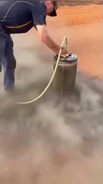 Dramatic Pets at the Vet 😂🐾 | Hilarious Vet Visits