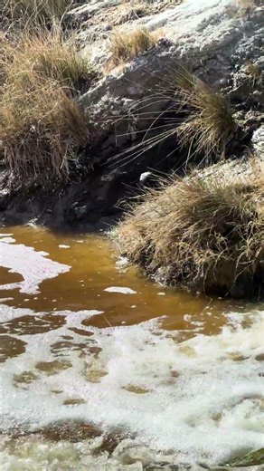 Amargosa River Waterfall Death Valley China Date Ranch #wonderfulworld #awesomeview