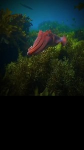 Did you know these 7 facts about cuttlefish? 1. Cuttlefish can see light invisible to humans. 2. Cuttlefish can secrete ink. 3. Cuttlefish have three hearts. 4. They can count objects, especially their favorites, like shrimp. 5. The cuttlefish's ability to compare objects is equivalent to that of a 12-month-old human child. 6. They have 10 million pigment cells in their skin, allowing them to change color, pattern, and texture rapidly. 7. They have extraordinary vision despite being colorblind.