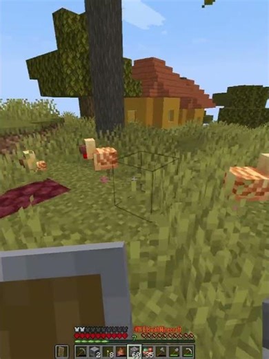 I Found a Ruined Nether Portal in Minecraft Survival! 🔥 Lucky Find