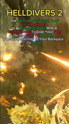 This FLYING Flamethrower Is Gonna Melt Everything - Helldivers 2