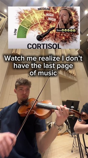 Mastering Violin Skills: 100 Days of Practice