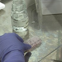 Video: How to Study Basement Membrane Stiffness as a Biophysical Trigger in Prostate Cancer and Other Age-related Pathologies or Metabolic Diseases