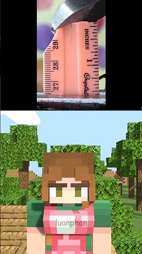 (2) Ruler Crack - Minecraft Animation #Shorts #luanphan