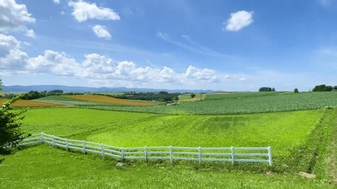 clip-4011220757-biei-patchwork-hill-hokkaido-summer