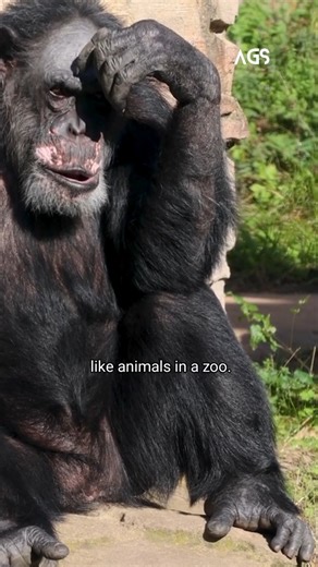 Zoo Hypothesis — നാം ഒറ്റക്കല്ല… ആരെങ്കിലും നമ്മെ നോക്കിക്കൊണ്ടിരിക്കുന്നു