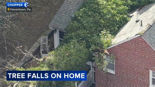 Fallen tree crushes part of home in Haverford Twp., Delaware County