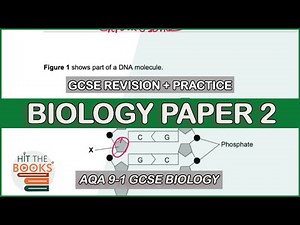GCSE Biology Paper 2 - Exam Questions and Revision